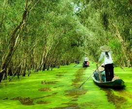 Mekong Delta - friendly destination in Vietnam - Vietnam travel blog