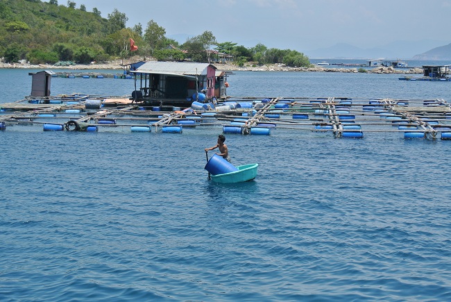 Floating fishing farms in Nha Trang - Vietnamtravelblog
