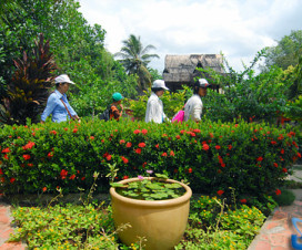 A village in Mekong Delta - Vietnamtravelblog - Vietnamvisa