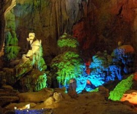 Protect national parks in Vietnam - Vietnamtravelblog