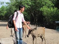 Tourists pat a deer at Vam Sat Ecotourism Area in HCMC’s Can Gio District - Vietnamtravelblog