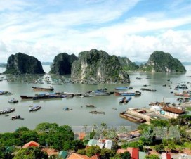 Vietnam travel cooperation