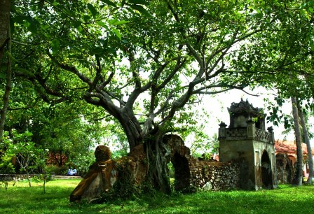 National relic of Mo and Luong Van Chanh Temple, a beauty spot in Phu Yen - Vietnamtravelblog