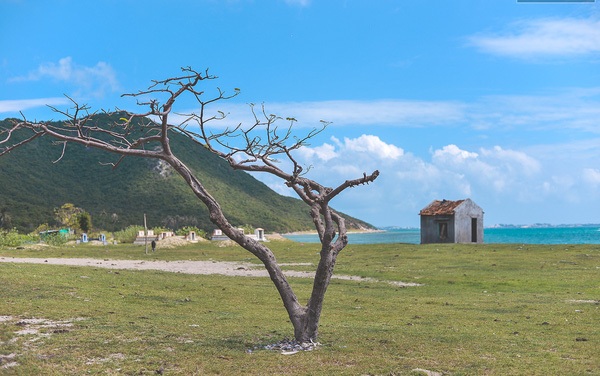 Beautiful and untouched Diep Son island in Khanh Hoa - Vietnam travel