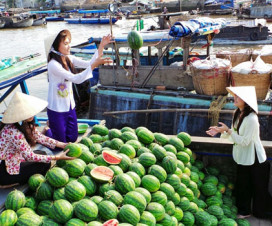 A boat of watermelon at Cai Rang floating market - Mekong delta tour