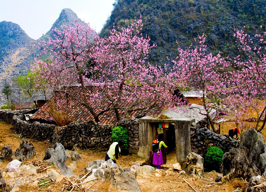 Dong Van stone plateau - Ha Giang