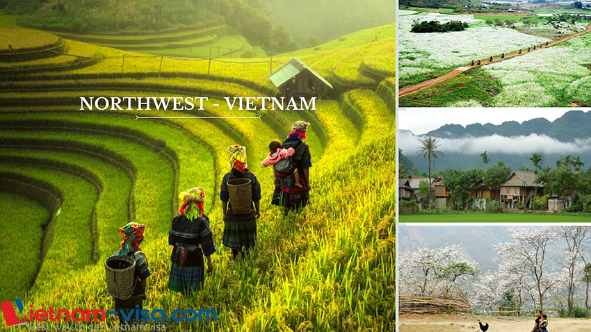 Northwest region among 7 wonderful places to visit in Vietnam for Spanish - Vietnam visa for Spanish