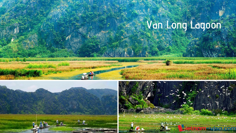 Van Long Lagoon - Ninh Binh - Vietnam visa